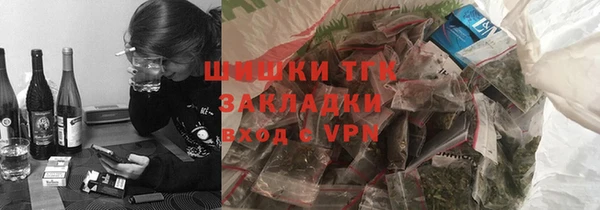 дживик Белокуриха