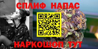 шишки Гусиноозёрск