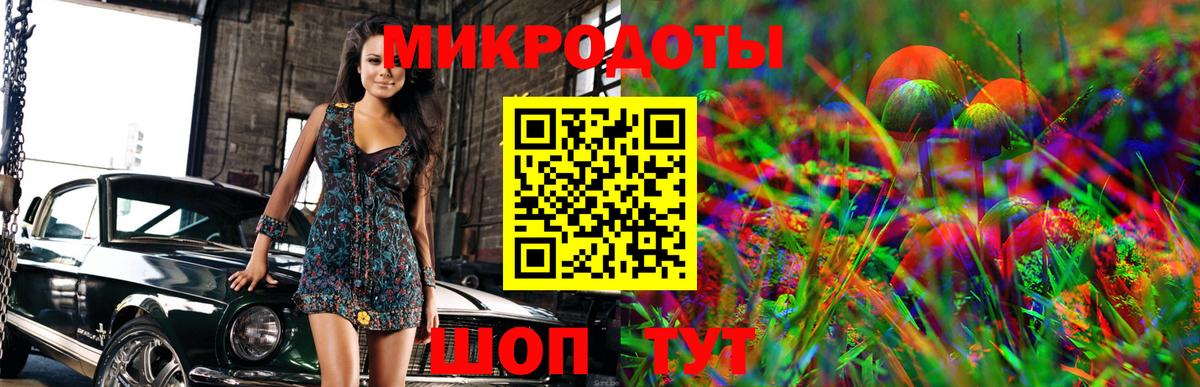 Псилоцибиновые грибы Psilocybine cubensis Лыткарино
